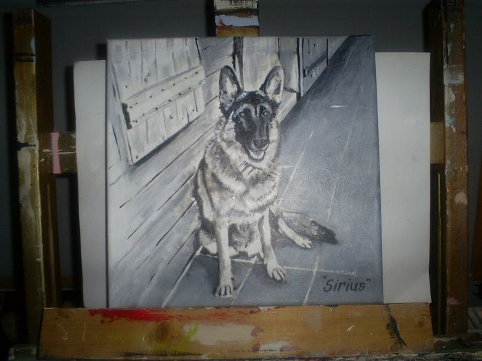 Portræt af hund malet på lærrede i str. 30x30 cm med acrylmaling og tuch. På bestilling efter foto. 